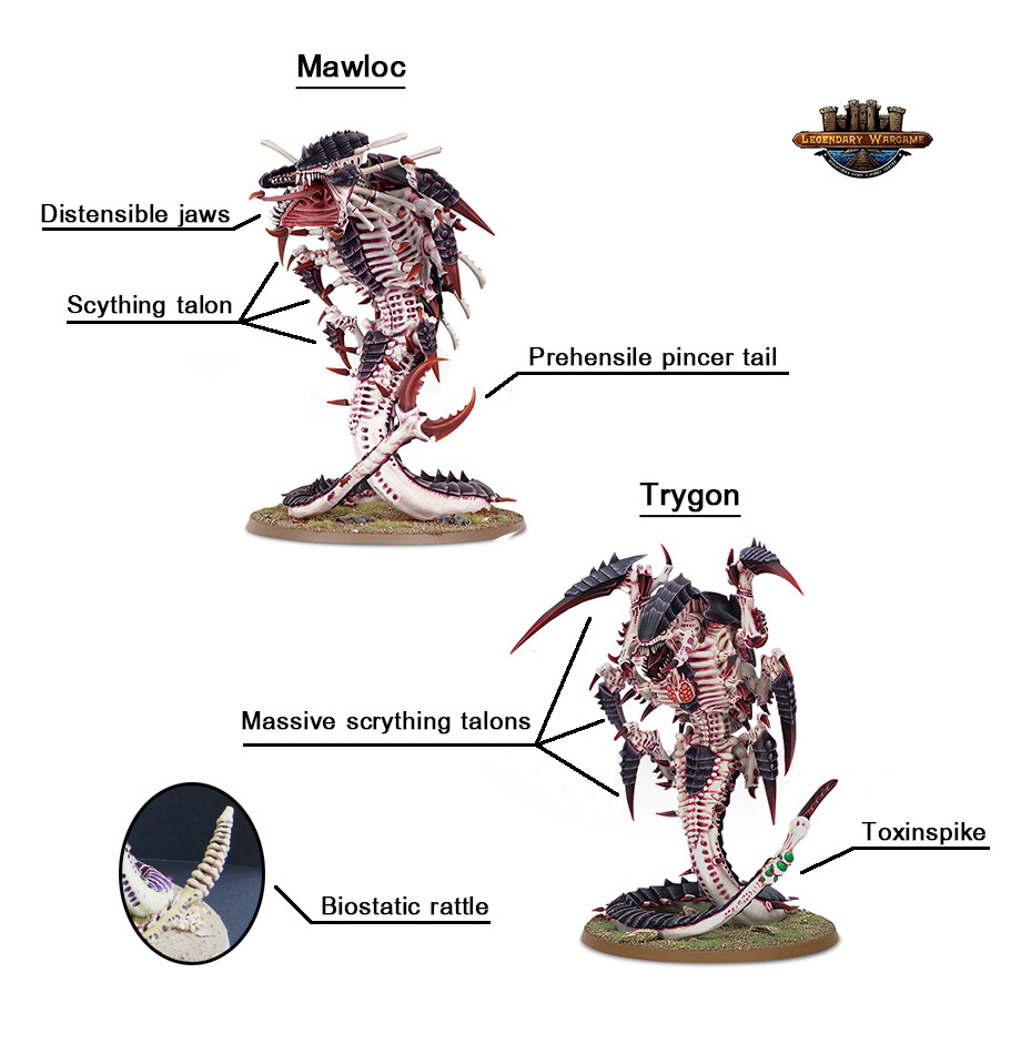 WARHAMMER 40K TYRANID: TRYGON/MAWLOC-1585480494.jpg