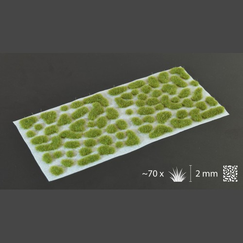 Dry Green 2mm Wild-1622743550.jpeg