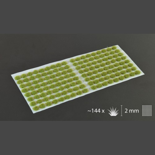 Dry Green 2mm Small-1622743691.jpeg