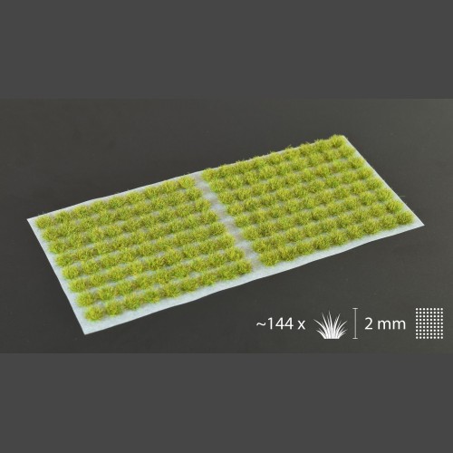 Moss 2mm Small-1622744389.jpeg