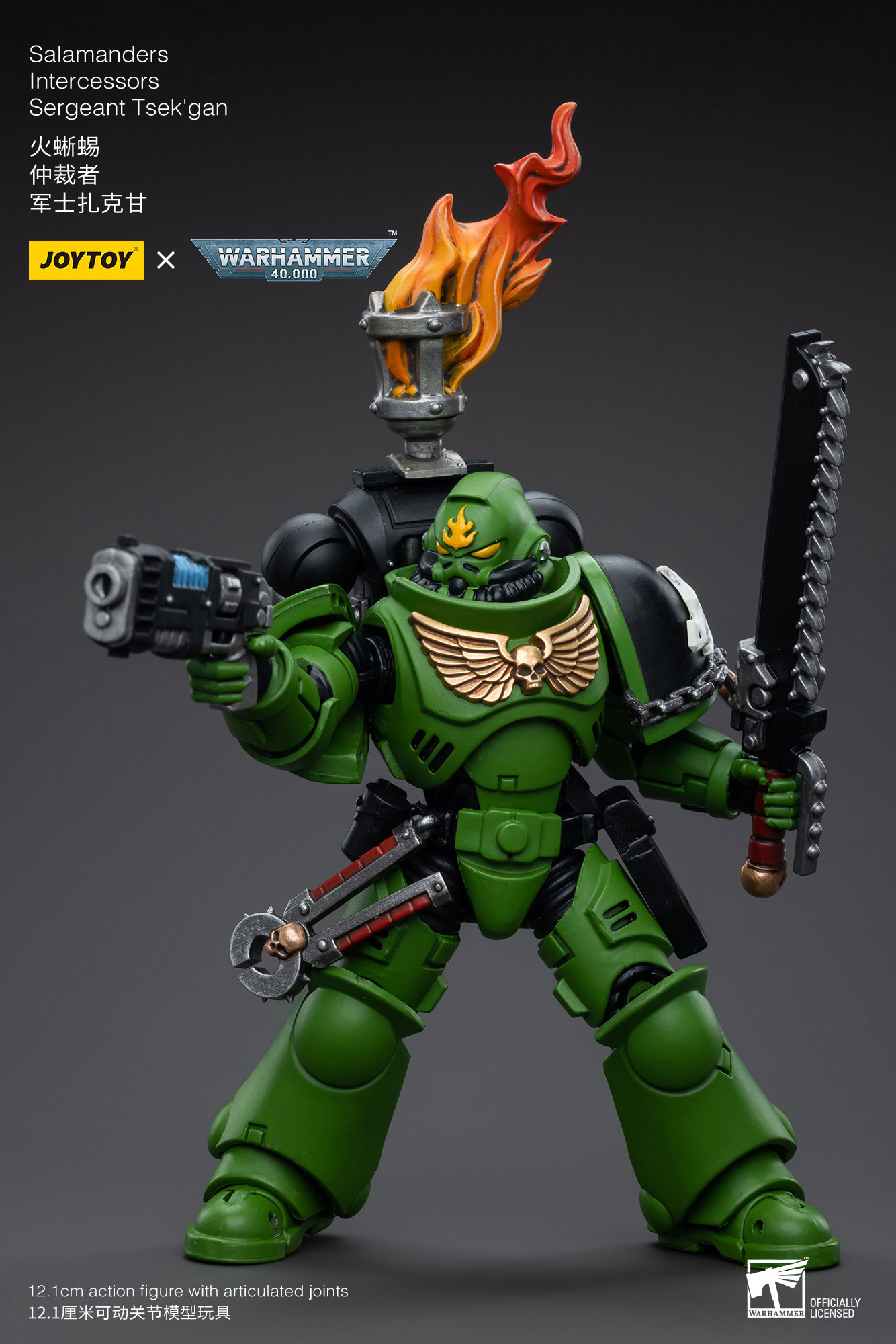 [JoyToy] Salamanders Intercessors Sergeant Tsek’gan JT5239-1688566549.jpg