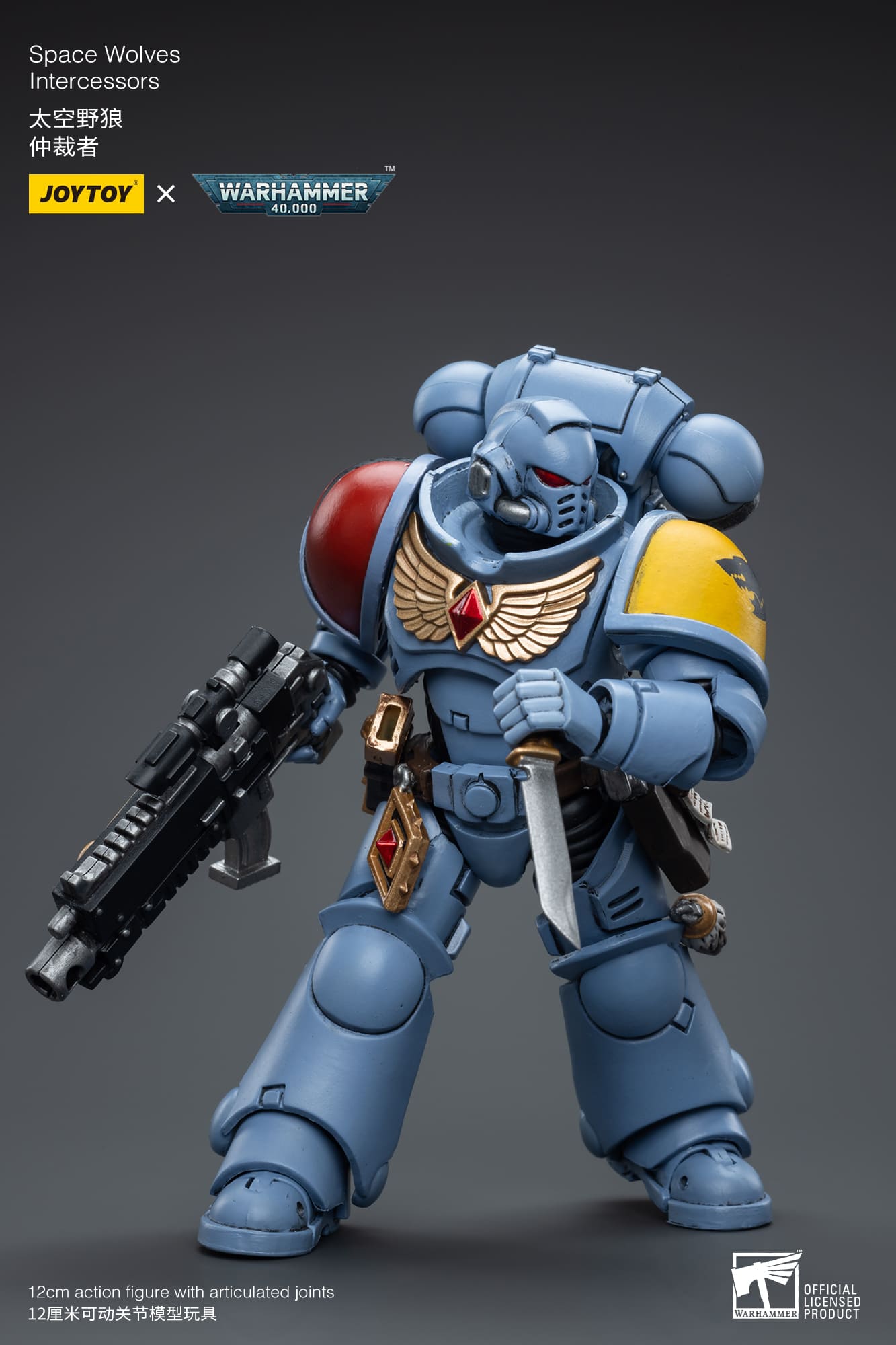 (JOYTOY) Space Wolves Intercessors JT6625-1691325534.jpg