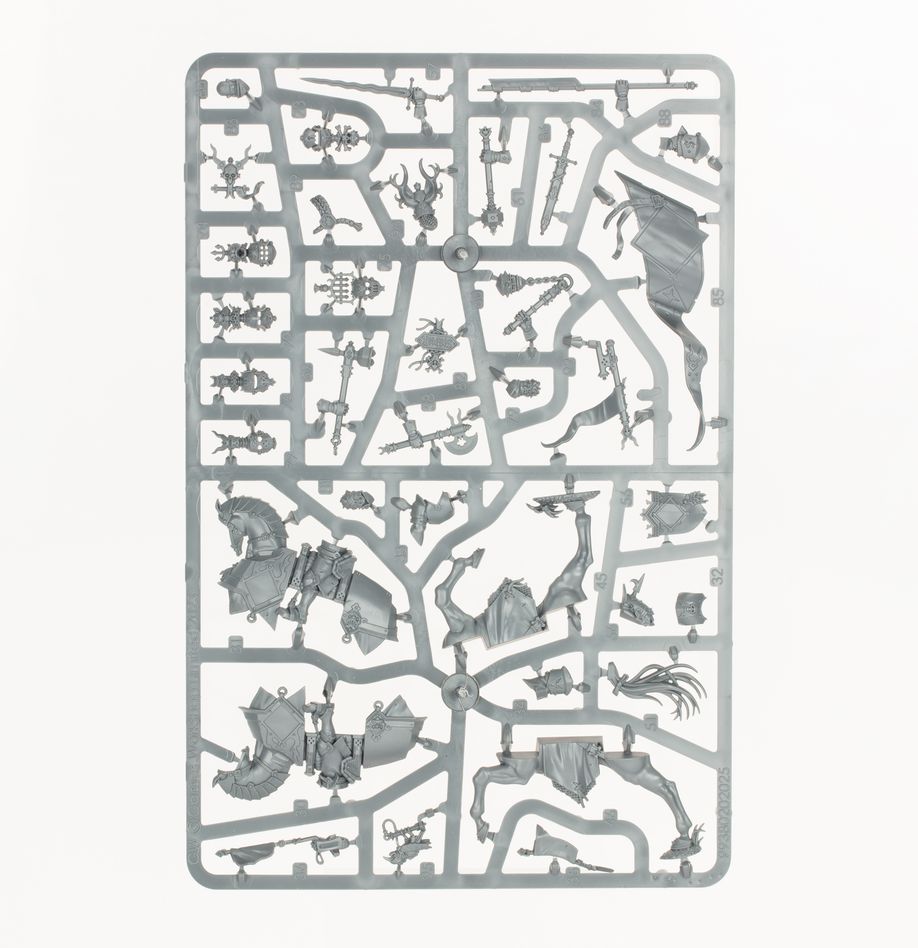 WARHAMMER AOS CITIES OF SIGMAR: FREEGUILD CAVALIERS-1699271099.jpg