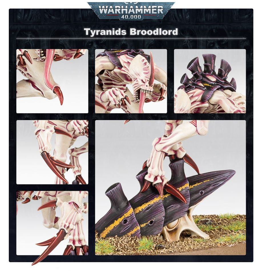 WARHAMMER 40K TYRANIDS: BROODLORD-1705061820.jpg