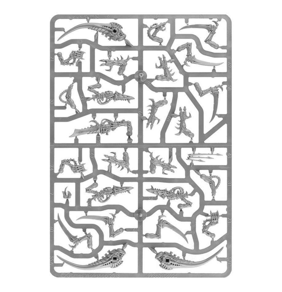 WARHAMMER 40K TYRANIDS: WARRIORS-1705062615.jpg