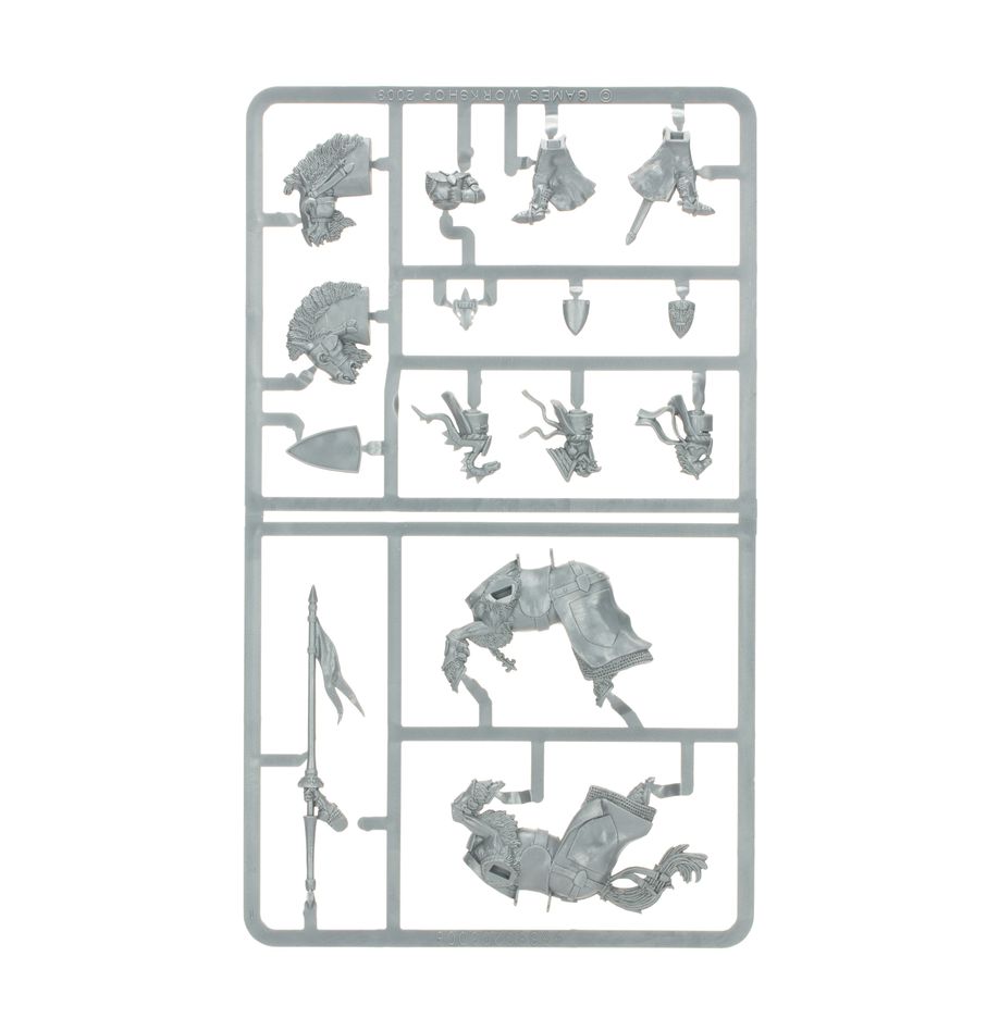 WARHAMMER THE OLD WORLD KINGDOM OF BRETONNIA: PEGASUS KNIGHTS-1706368035.jpg