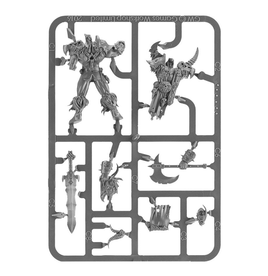 WARHAMMER AOS: DARKOATH CHIEFTAIN-1706443239.jpg