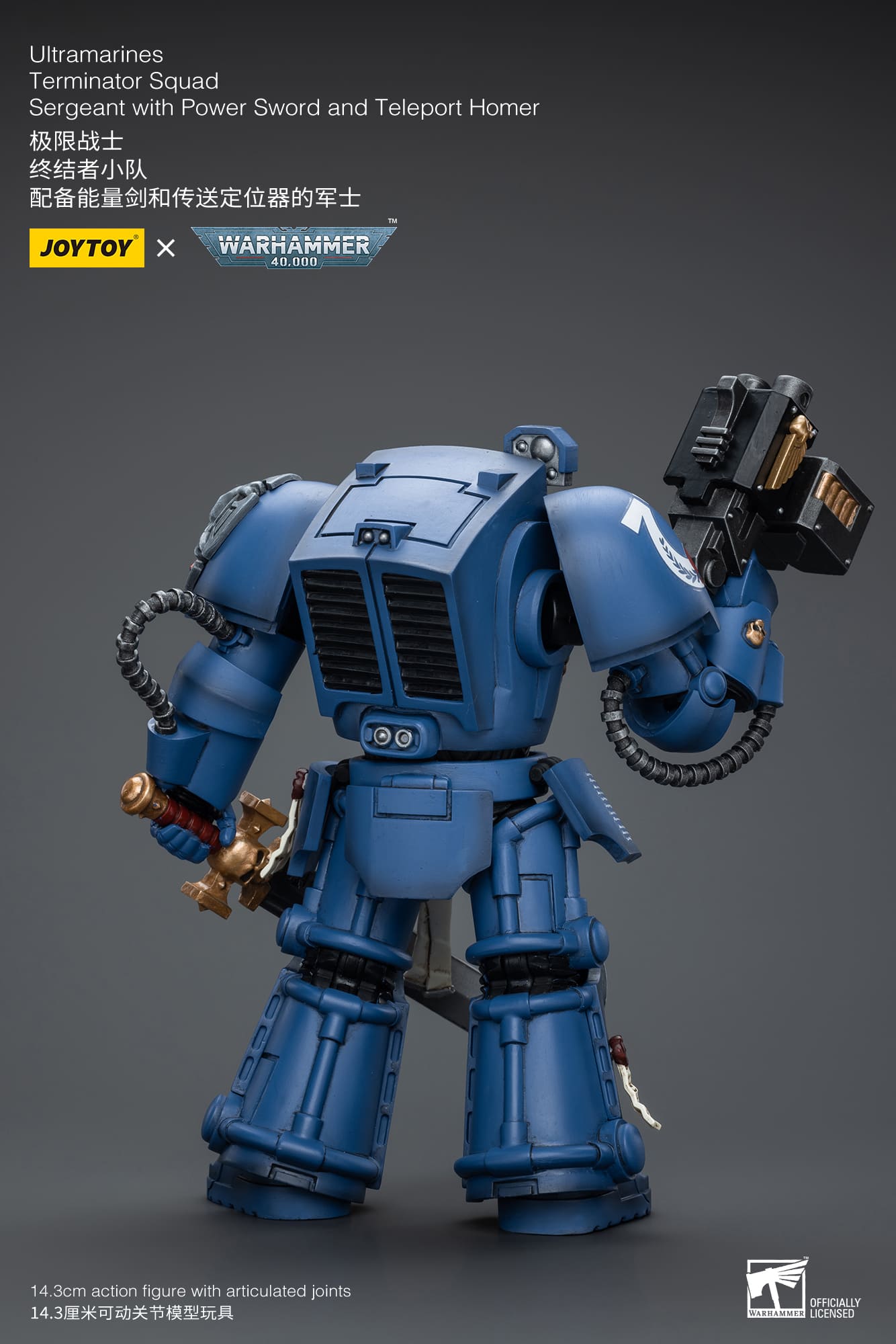 (JOYTOY) Ultramarines Terminator Squad Sergeant with Power Sword and Teleport Homer JT9923-1717837439-jGoVV.jpg