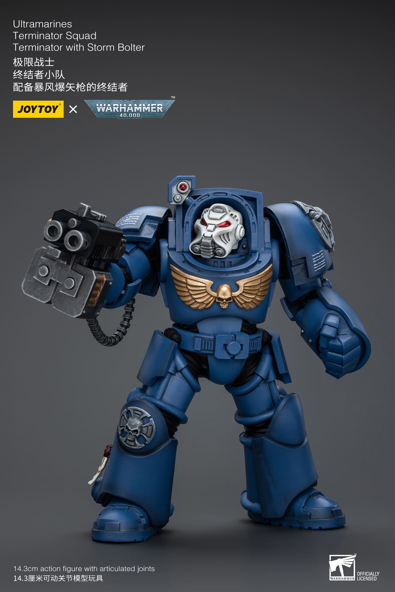 (JOYTOY) Ultramarines Terminator Squad Terminator with Storm Bolter JT9930-1717837700-icdAk.jpg