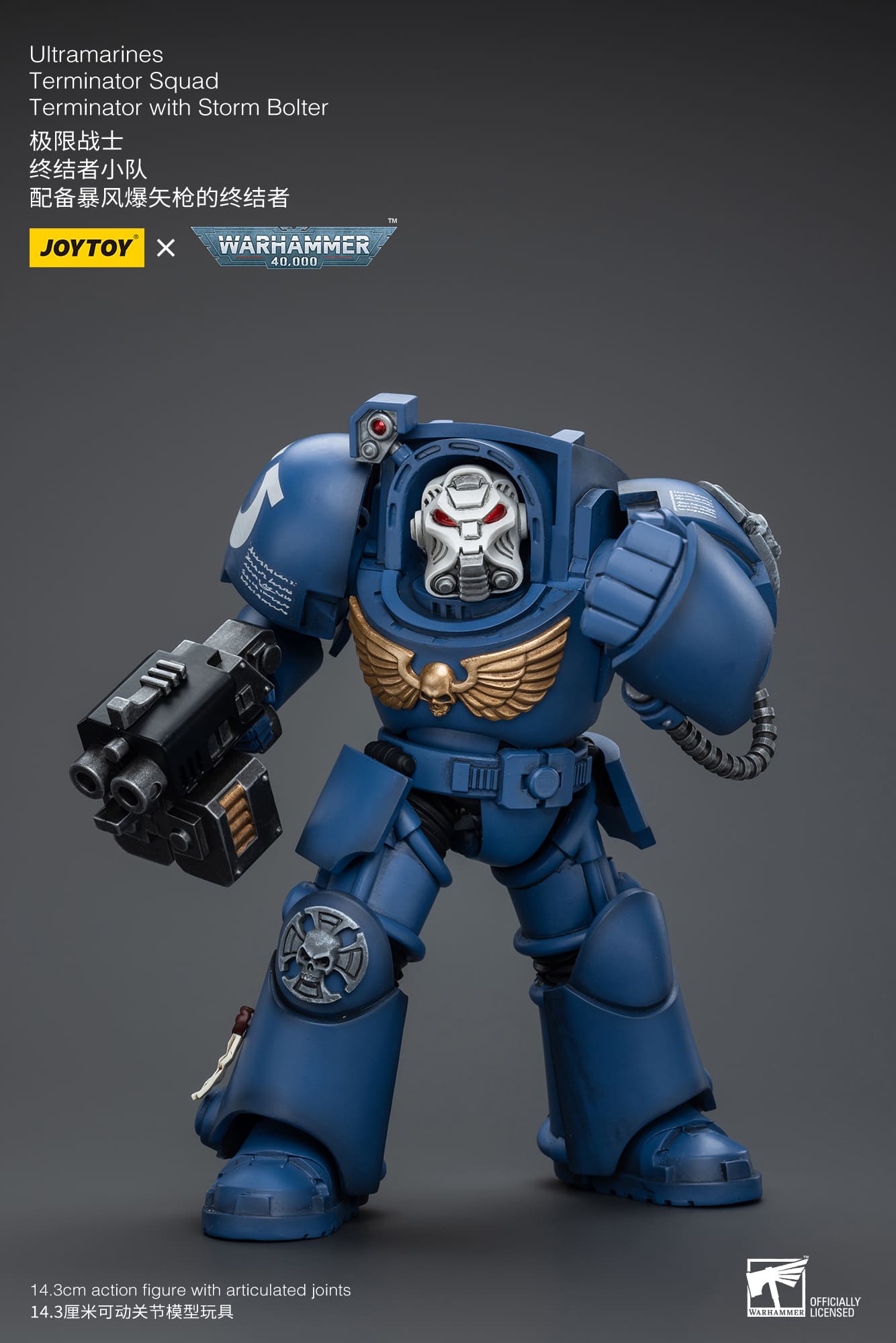 (JOYTOY) Ultramarines Terminator Squad Terminator with Storm Bolter JT9930-1717837701-7Tgpi.jpg