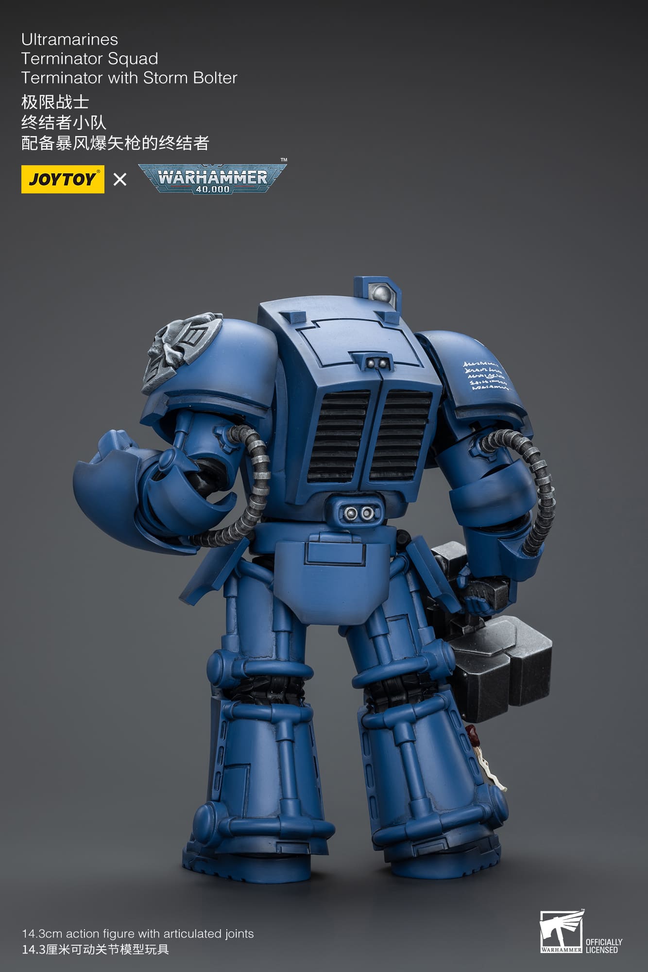 (JOYTOY) Ultramarines Terminator Squad Terminator with Storm Bolter JT9930-1717837706-KZMXz.jpg