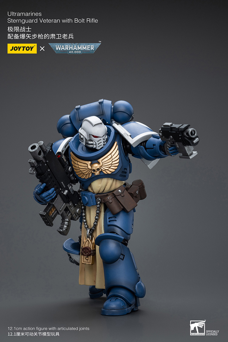 (JOYTOY) Ultramarines Sternguard Veteran with Bolt Rifle JT9831-1717841522-dWcfL.jpg