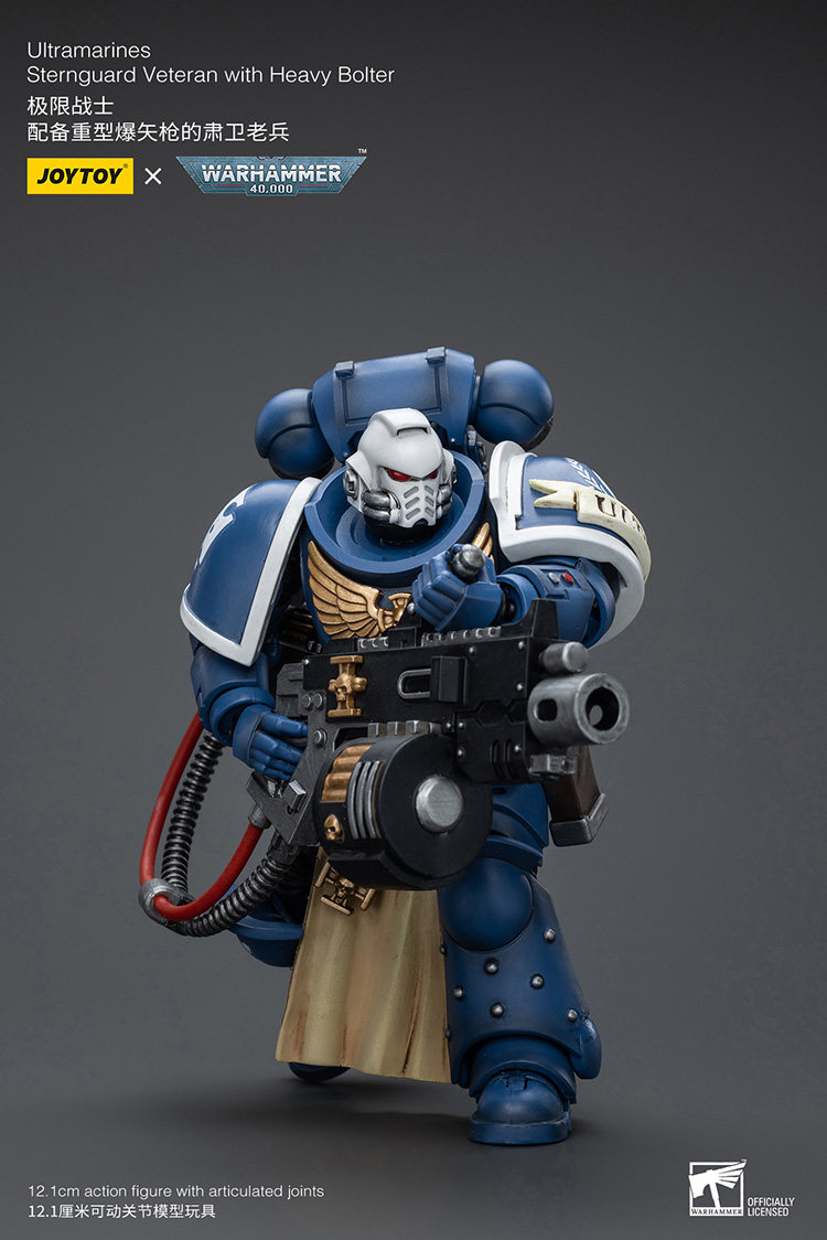 (JOYTOY) Ultramarines Sternguard Veteran with Heavy Bolter JT9848-1717841644-gUgJJ.jpg