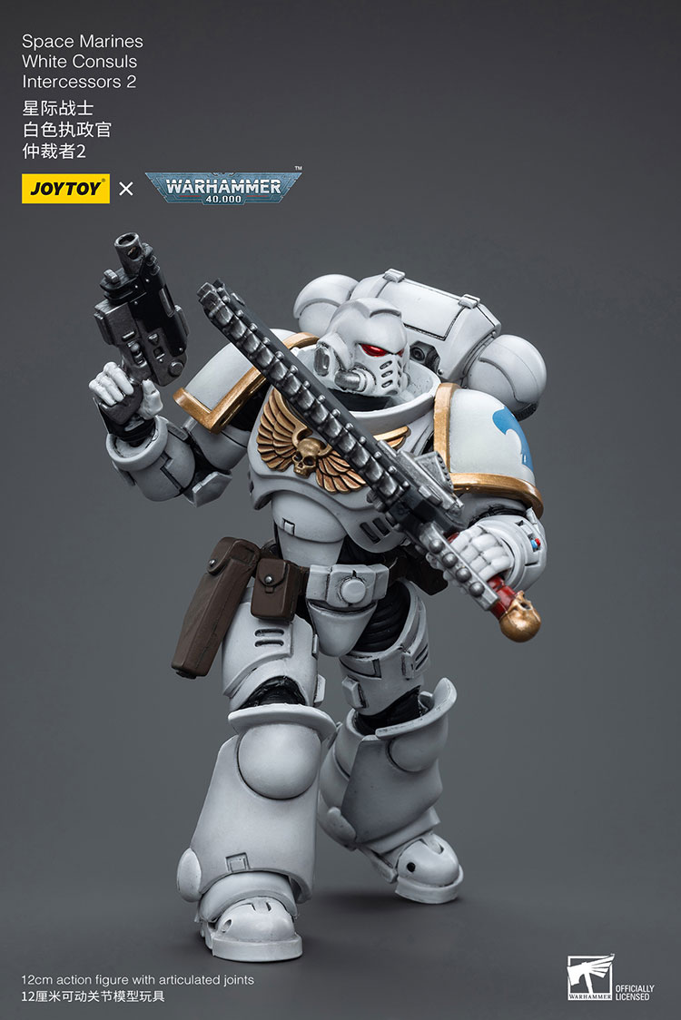 (JOYTOY) Space Marines White Consuls Intercessors 2 JT6854-1727960401-U6aAW.jpg