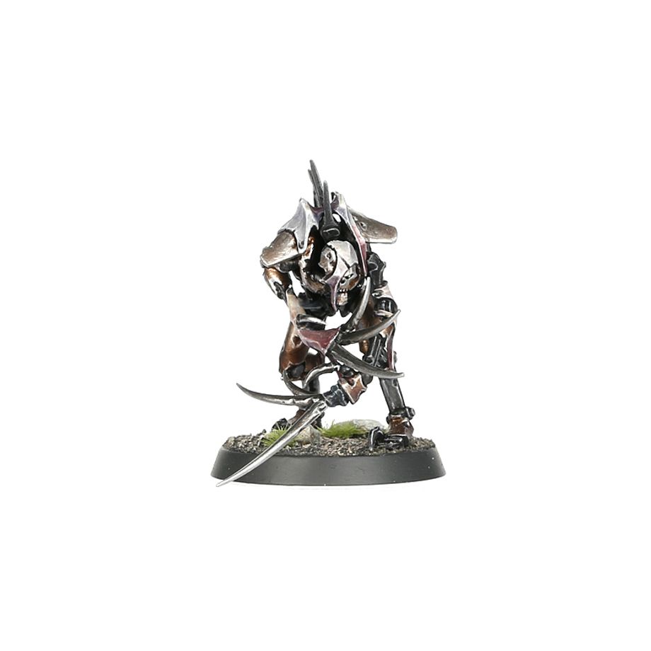 WARHAMMER 40K NECRONS: FLAYED ONES-1736334611-Z6uwm.jpg
