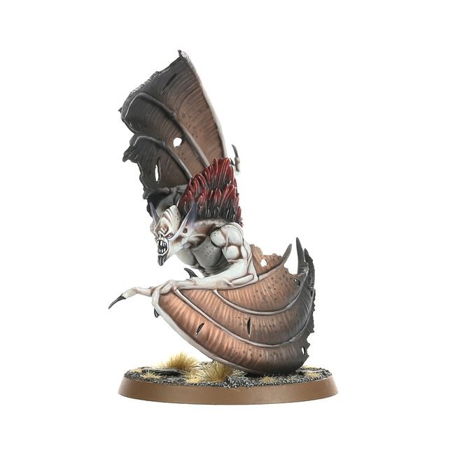 WARHAMMER AOS SPEARHEAD: SOULBLIGHT GRAVELORDS BLOODCRAVE HUNT-1747986904-paIV3.jpg
