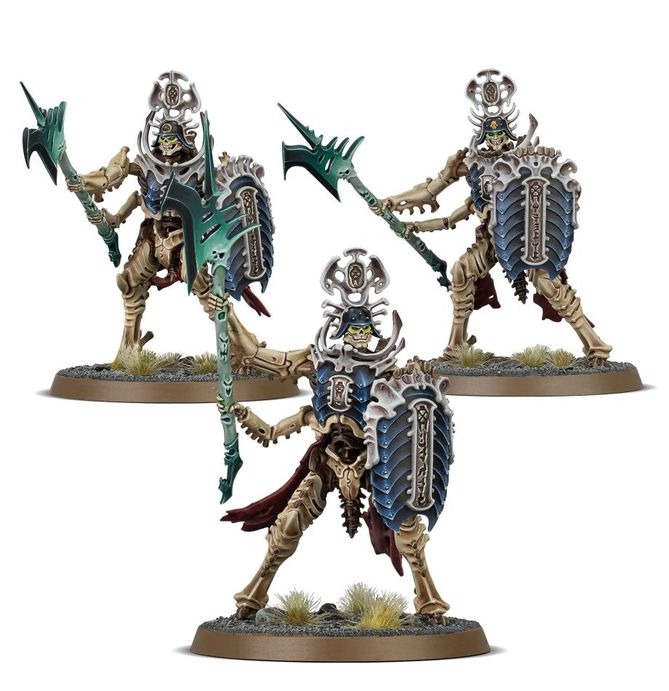WARHAMMER AOS SPEARHEAD OSSIARCH: BONEREAPERS MORTISAN ELITE-1749837901-aoaUy.jpg