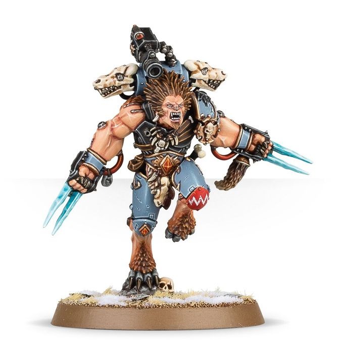 WARHAMMER 40K COMBAT PATROL: SPACE WOLVES-1754901889-lL4Fs.jpg
